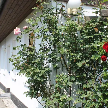 Spacious Bungalow In Near Sea Beach
